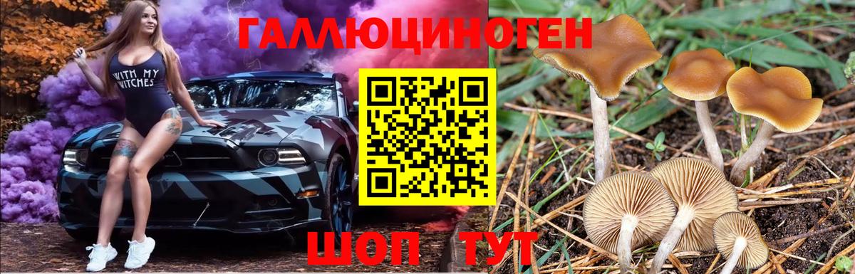 Псилоцибиновые грибы Magic Shrooms Туймазы