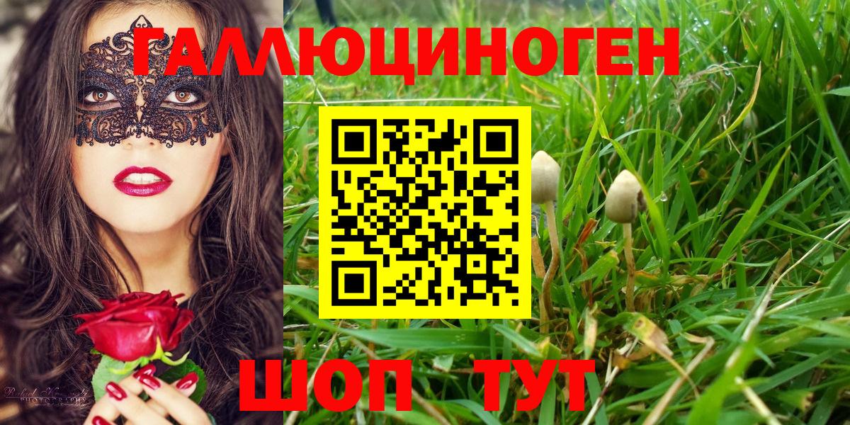Галлюциногенные грибы MAGIC MUSHROOMS  Вход с VPN  Туймазы 